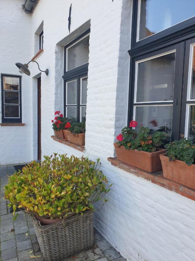 De Levensboom - Het Oud Gemeentehuis Damme Exterior foto