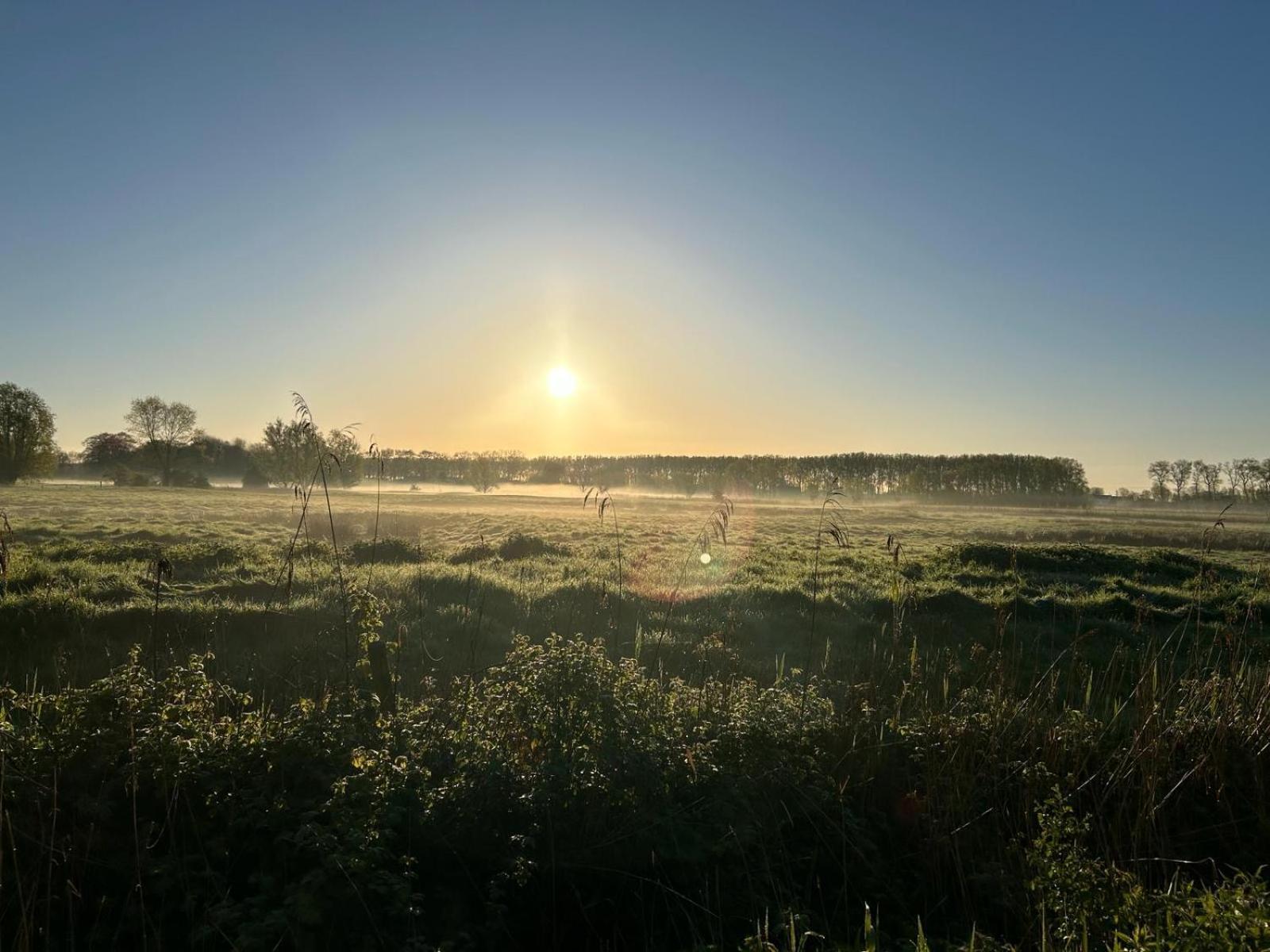 De Levensboom - Het Oud Gemeentehuis Damme Exterior foto